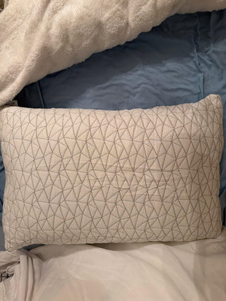 Taylor review photo Crown Lift